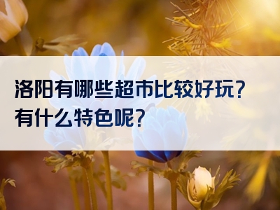 洛阳有哪些超市比较好玩？有什么特色呢？