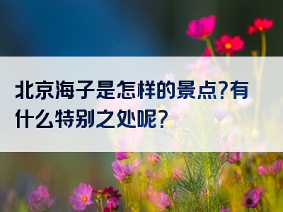 北京海子是怎样的景点？有什么特别之处呢？