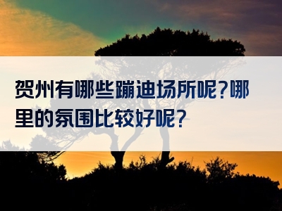 贺州有哪些蹦迪场所呢？哪里的氛围比较好呢？