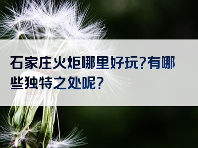 石家庄火炬哪里好玩？有哪些独特之处呢？