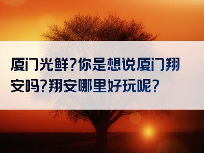 厦门光鲜？你是想说厦门翔安吗？翔安哪里好玩呢？