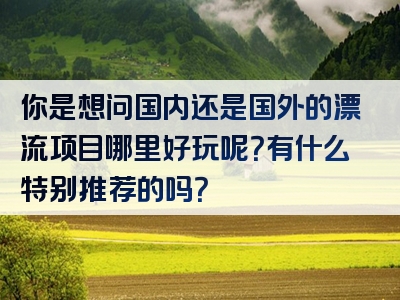 你是想问国内还是国外的漂流项目哪里好玩呢？有什么特别推荐的吗？