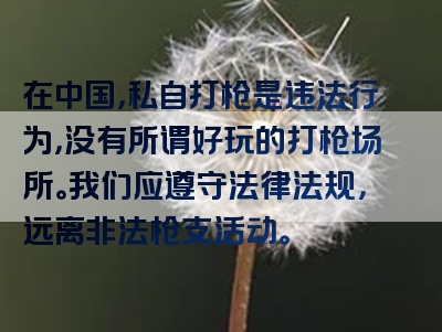 在中国，私自打枪是违法行为，没有所谓好玩的打枪场所。我们应遵守法律法规，远离非法枪支活动。