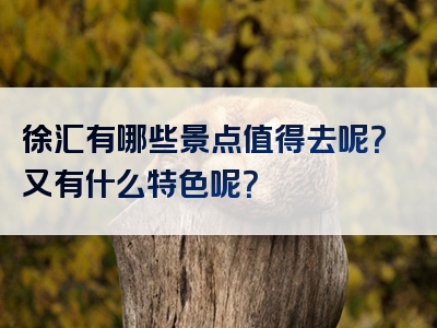 徐汇有哪些景点值得去呢？又有什么特色呢？