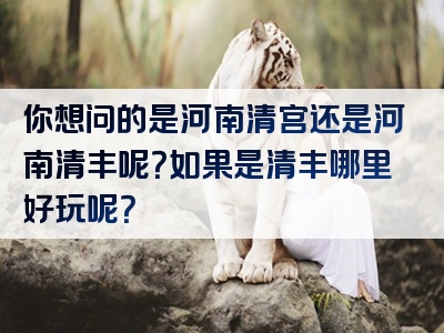 你想问的是河南清宫还是河南清丰呢？如果是清丰哪里好玩呢？
