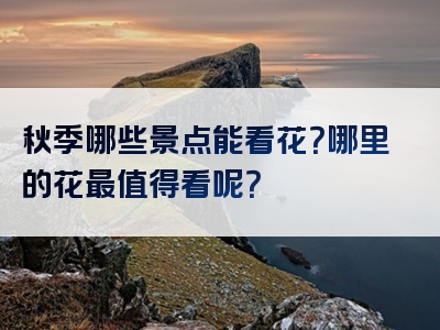 秋季哪些景点能看花？哪里的花最值得看呢？