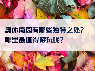 奥体南园有哪些独特之处？哪里最值得游玩呢？