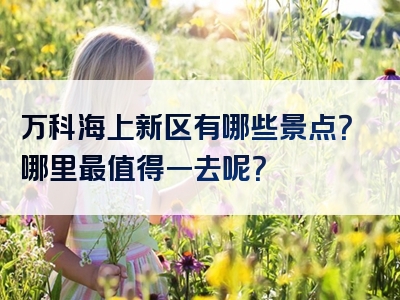 万科海上新区有哪些景点？哪里最值得一去呢？