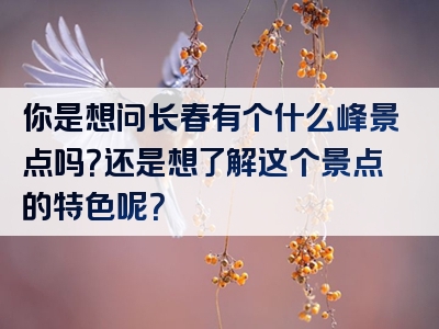 你是想问长春有个什么峰景点吗？还是想了解这个景点的特色呢？