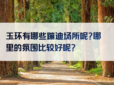 玉环有哪些蹦迪场所呢？哪里的氛围比较好呢？