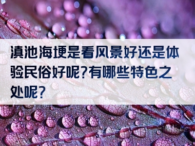 滇池海埂是看风景好还是体验民俗好呢？有哪些特色之处呢？