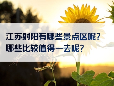 江苏射阳有哪些景点区呢？哪些比较值得一去呢？