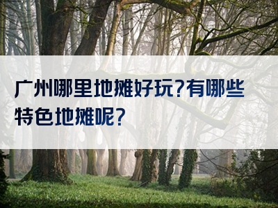 广州哪里地摊好玩？有哪些特色地摊呢？