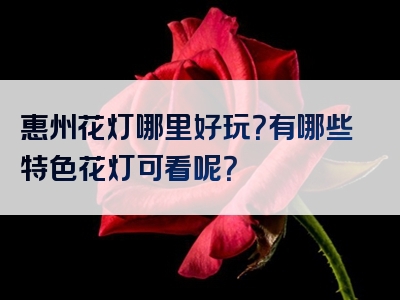 惠州花灯哪里好玩？有哪些特色花灯可看呢？