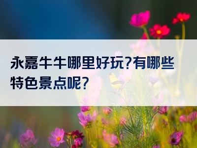 永嘉牛牛哪里好玩？有哪些特色景点呢？