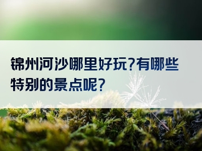 锦州河沙哪里好玩？有哪些特别的景点呢？