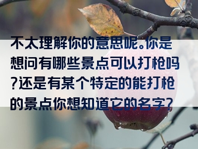 不太理解你的意思呢。你是想问有哪些景点可以打枪吗？还是有某个特定的能打枪的景点你想知道它的名字？