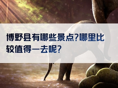 博野县有哪些景点？哪里比较值得一去呢？