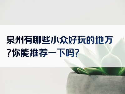泉州有哪些小众好玩的地方？你能推荐一下吗？
