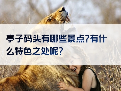 亭子码头有哪些景点？有什么特色之处呢？