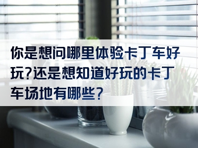 你是想问哪里体验卡丁车好玩？还是想知道好玩的卡丁车场地有哪些？