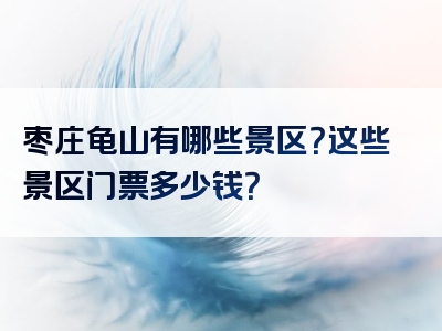 枣庄龟山有哪些景区？这些景区门票多少钱？