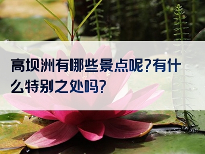 高坝洲有哪些景点呢？有什么特别之处吗？