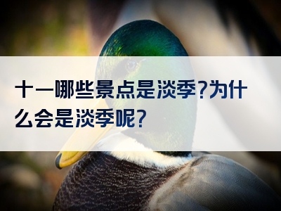 十一哪些景点是淡季？为什么会是淡季呢？