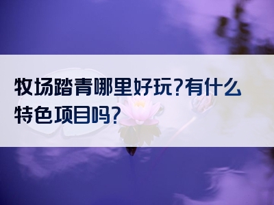 牧场踏青哪里好玩？有什么特色项目吗？