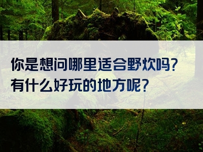 你是想问哪里适合野炊吗？有什么好玩的地方呢？