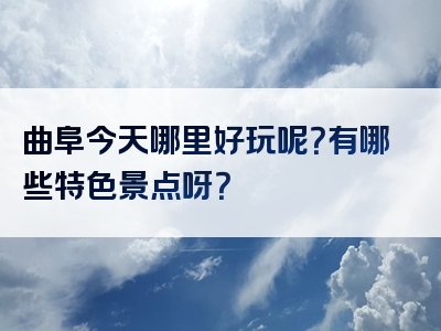 曲阜今天哪里好玩呢？有哪些特色景点呀？