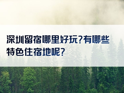 深圳留宿哪里好玩？有哪些特色住宿地呢？