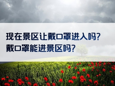 现在景区让戴口罩进入吗？戴口罩能进景区吗？