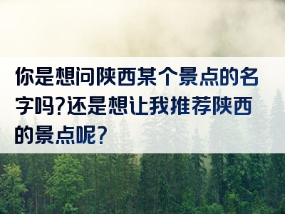 你是想问陕西某个景点的名字吗？还是想让我推荐陕西的景点呢？