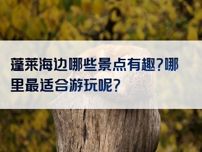 蓬莱海边哪些景点有趣？哪里最适合游玩呢？