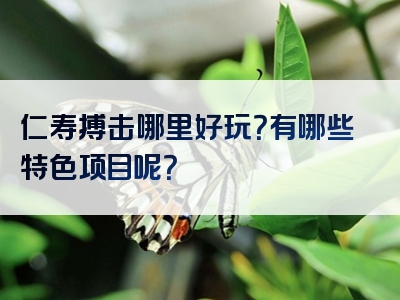 仁寿搏击哪里好玩？有哪些特色项目呢？