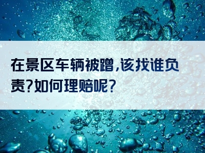 在景区车辆被蹭，该找谁负责？如何理赔呢？