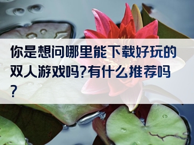 你是想问哪里能下载好玩的双人游戏吗？有什么推荐吗？