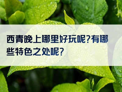 西青晚上哪里好玩呢？有哪些特色之处呢？