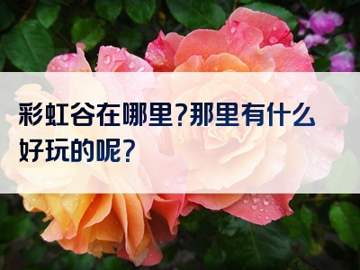 彩虹谷在哪里？那里有什么好玩的呢？