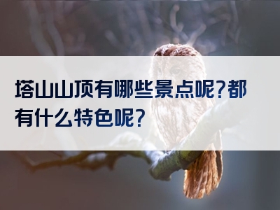 塔山山顶有哪些景点呢？都有什么特色呢？