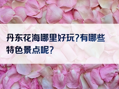 丹东花海哪里好玩？有哪些特色景点呢？