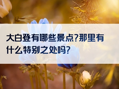 大白登有哪些景点？那里有什么特别之处吗？