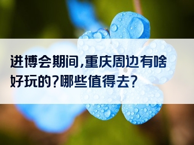 进博会期间，重庆周边有啥好玩的？哪些值得去？