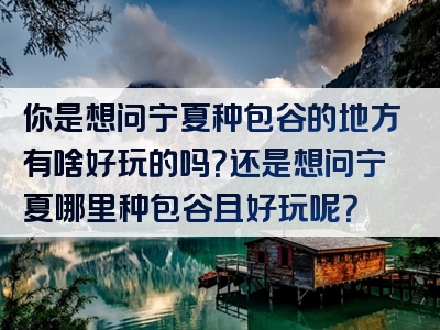 你是想问宁夏种包谷的地方有啥好玩的吗？还是想问宁夏哪里种包谷且好玩呢？