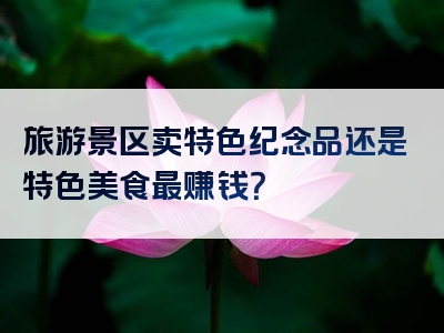 旅游景区卖特色纪念品还是特色美食最赚钱？