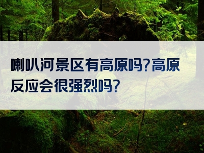 喇叭河景区有高原吗？高原反应会很强烈吗？