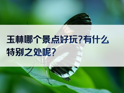 玉林哪个景点好玩？有什么特别之处呢？