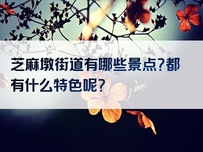 芝麻墩街道有哪些景点？都有什么特色呢？