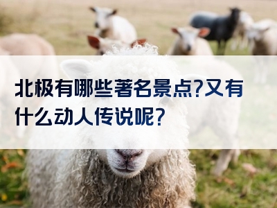 北极有哪些著名景点？又有什么动人传说呢？